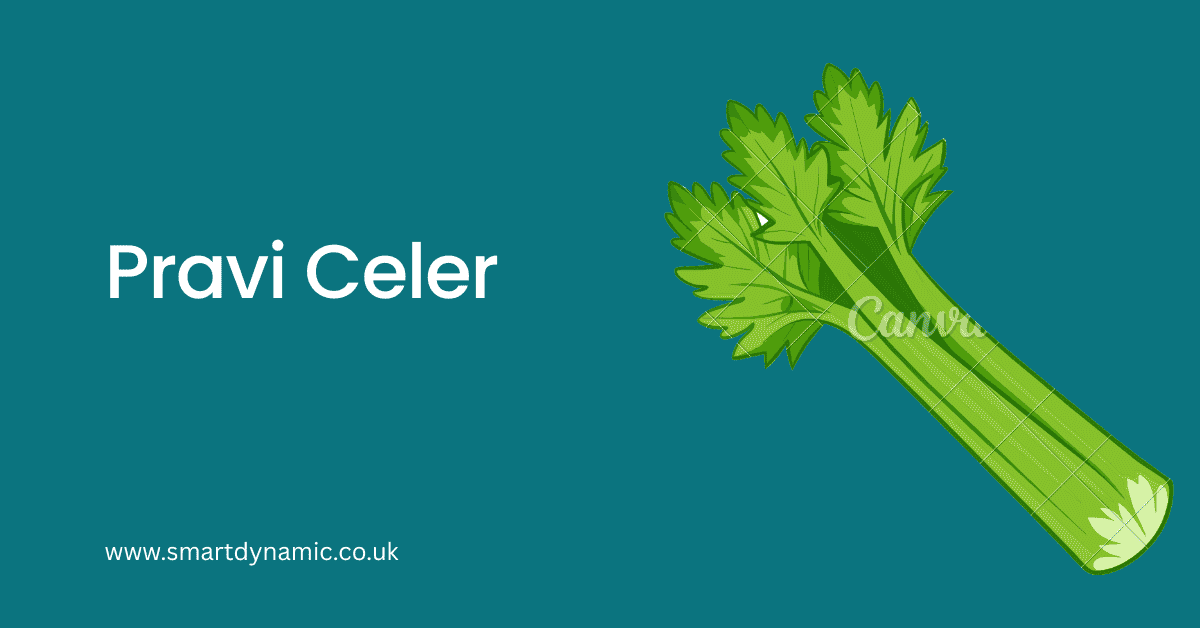 Pravi Celer: Benefits, Nutrition & How to Use Real Celery